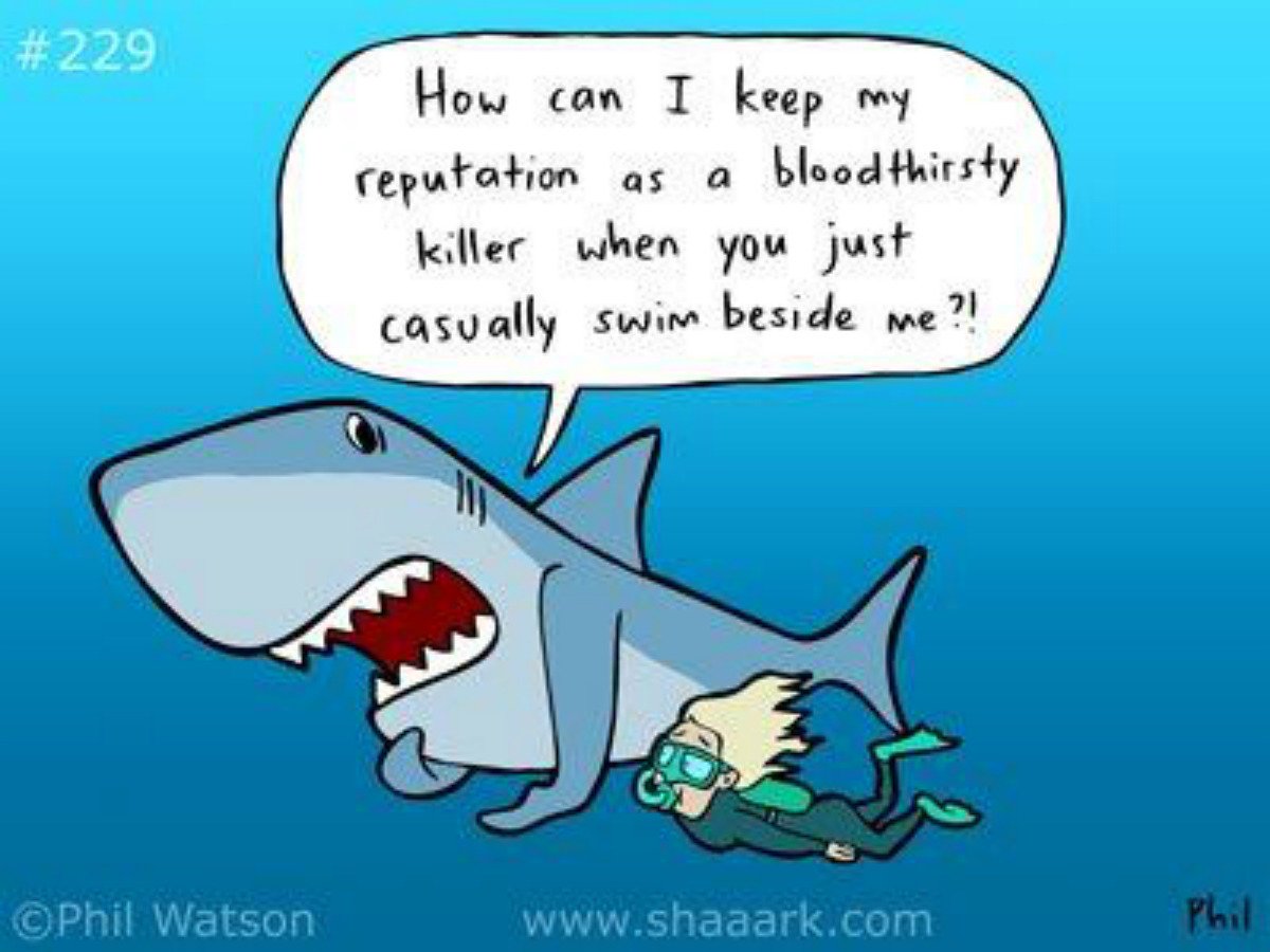 It sometimes feels like divers may be some of the sharks' only friends but here at #ProjectAWARE we love and protect them! Do you? Support science-based shark conservation: projectaware.org/donate #FearIgnorance - Cartoon by <a href="/sharktoons/">Shaaark!</a> #SharkHumor #HealthySharksHealthyOcean