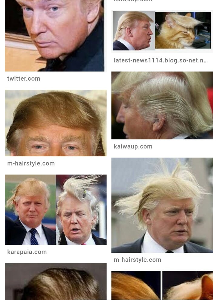こぞう Twitterissa トランプ 髪型 構造 ポチッ wwwwwwwww こぞう Twitterissa トランプ 髪型 構造 ポチッ wwwwwwwww