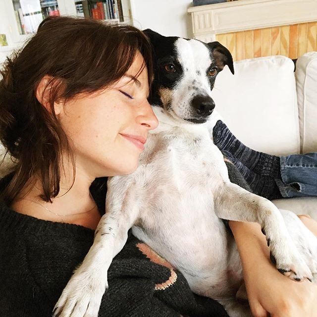Reposting @elenasansh:
Hoscar has the perfect expression of someone who’s being hugged but did not see that coming.
Or he just could smell