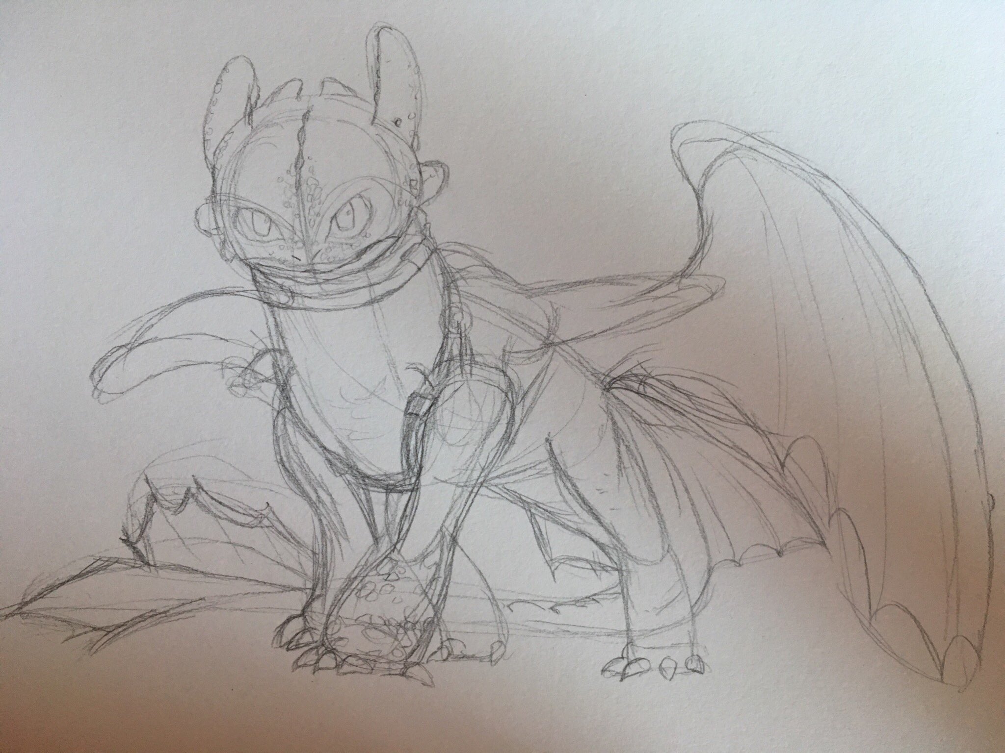 Buy Hiccups Sketch of Toothless How to Train Your Dragon Online in India   Etsy