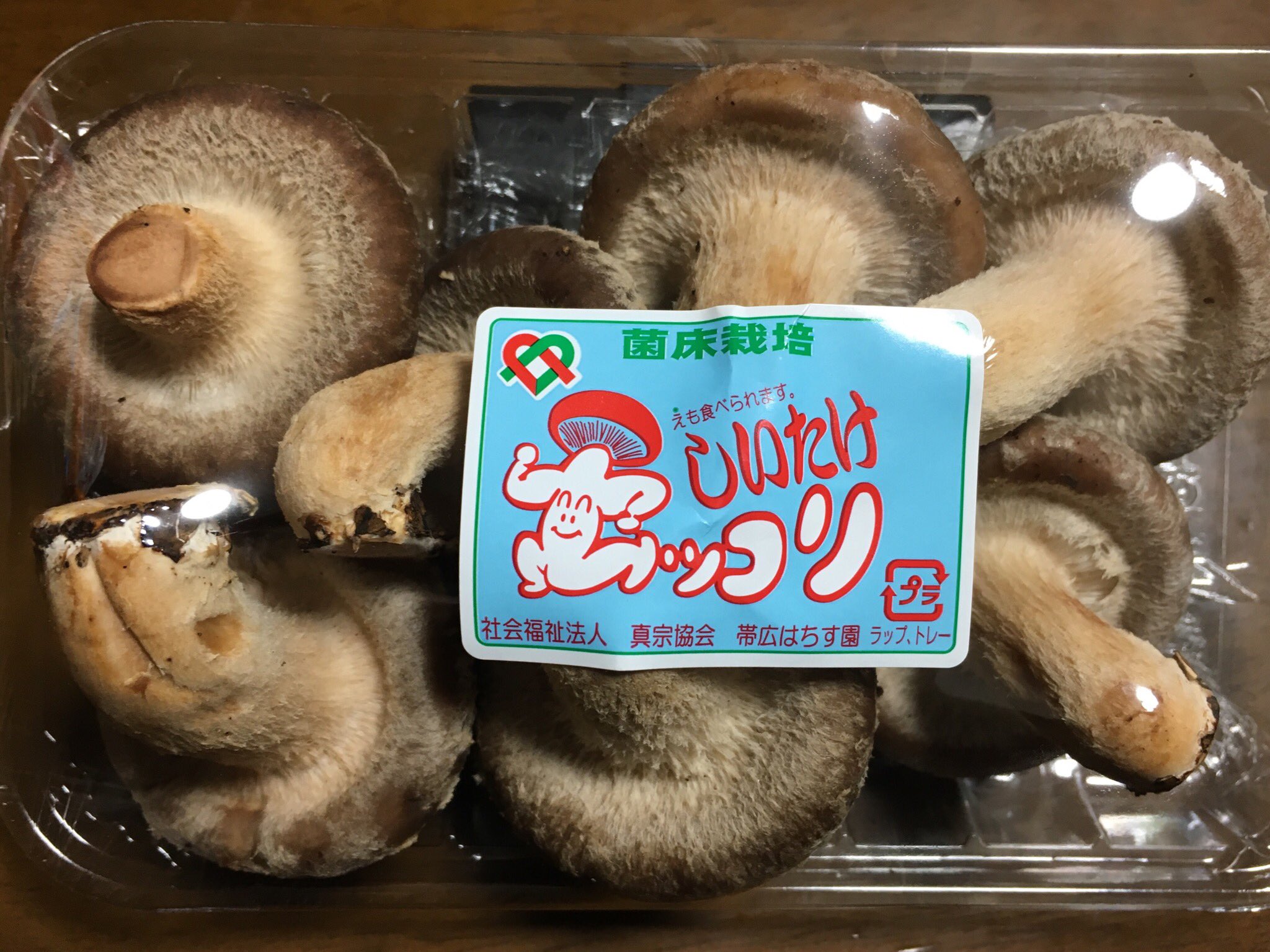 シイタケです 干し椎茸 大分産 どんこ 200g 優良品 大容量 原木栽培 ( 国産