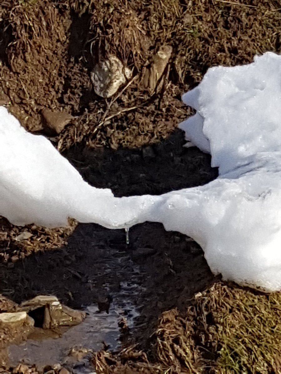 couderim74's tweet photo. Fragile goutte à goutte ! #Montagne #Sommand #Charmettes https://t.co/sT1Uasm2E1