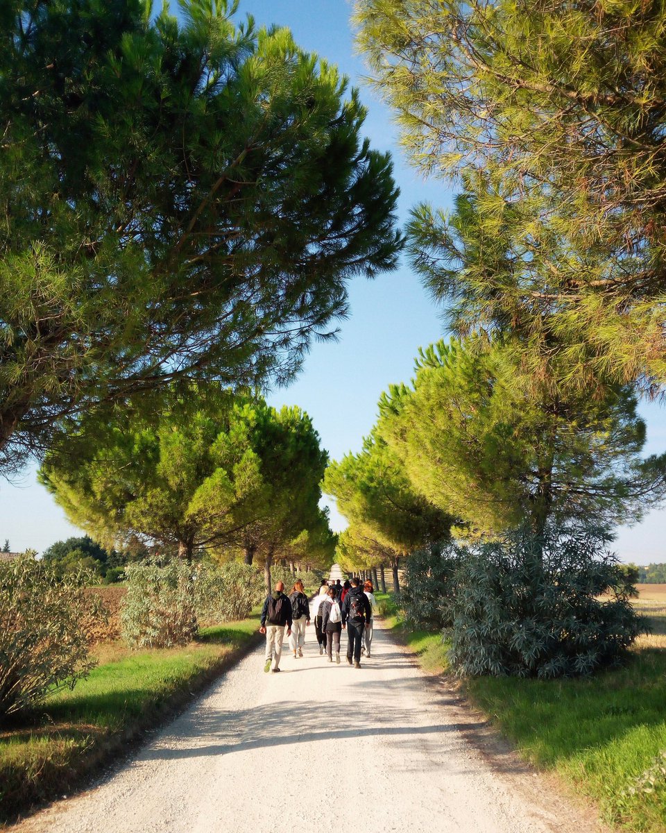 MauroPeroni79's tweet photo. L'importante è mettersi a camminare, poi il resto viene da sé #Marche LeMarche #Trekking #Natura #Curadisé https://t.co/LY9MintVMV