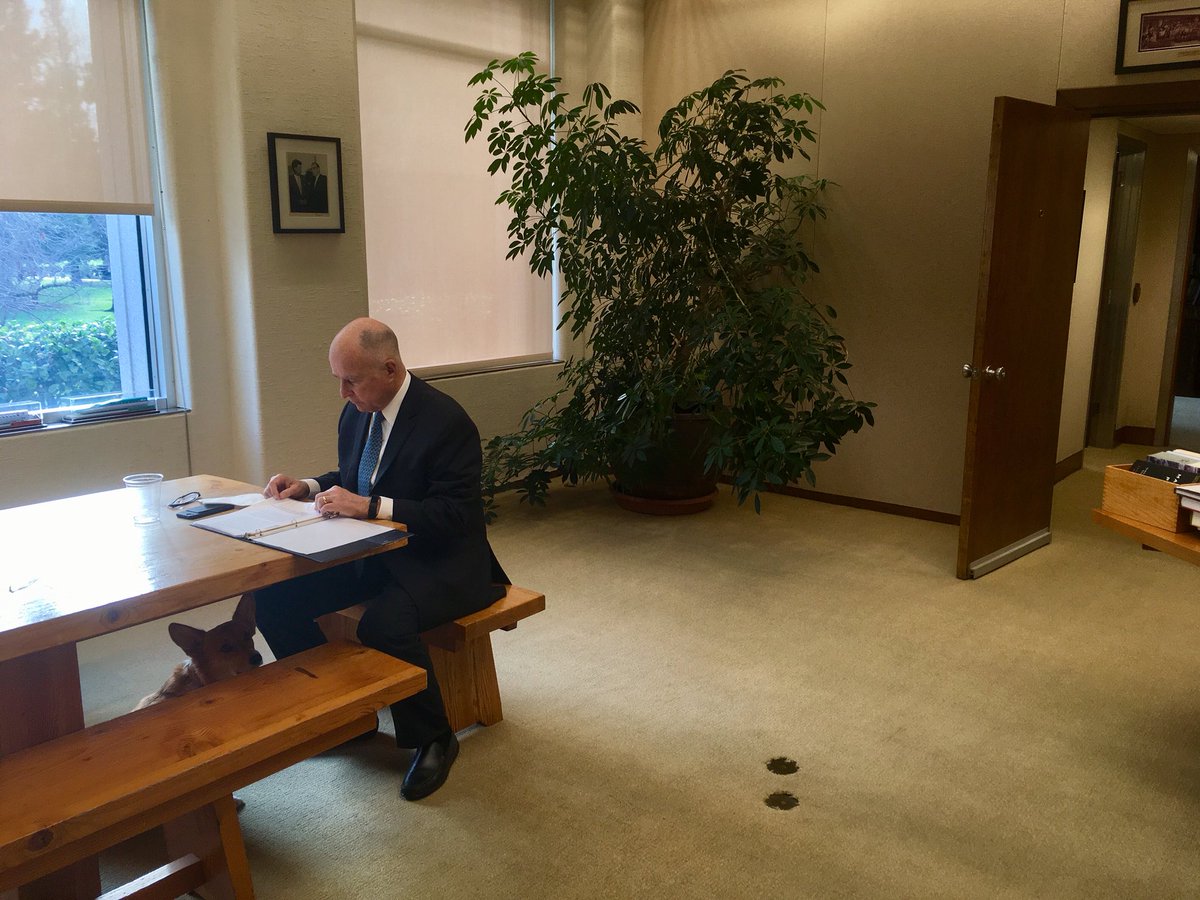 Nancy McFadden tweet media