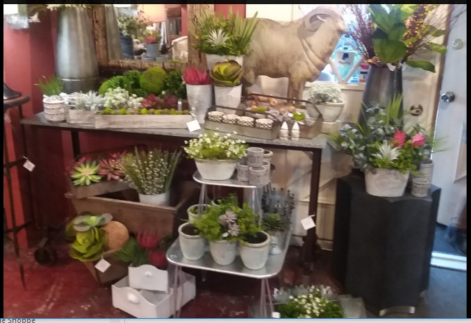 VillageShoppe's tweet photo. New at the shop, Spring flowers and succlents! French pots and containers filled with colorful plants to brighten up your home! https://t.co/FcY1VCRUwM
