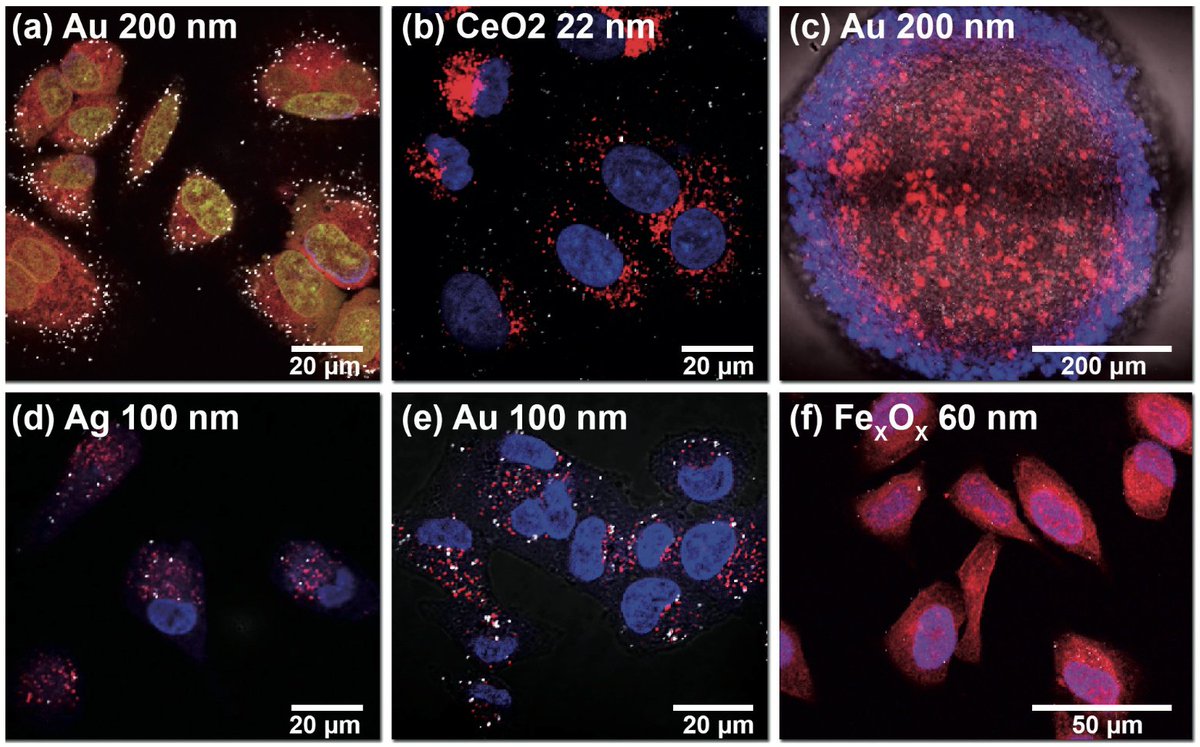 download polyelectrolyte complexes in