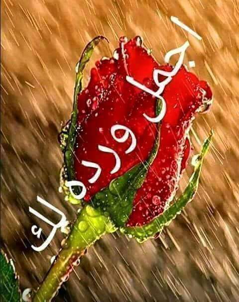 "بردان : بوسه تدفيني .. مشتاق :للوحد صادق يكفيني .. مظلوم : شوفتك تواسيني";