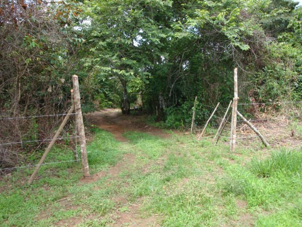 panama_brokers's tweet photo. Se vende terreno de 50,000 m2 en Altos de Pedregal. Buenas vistas a la ciudad, facilidades de transporte, a poca distancia del acceso al corredor norte https://t.co/e3xySJHOIn