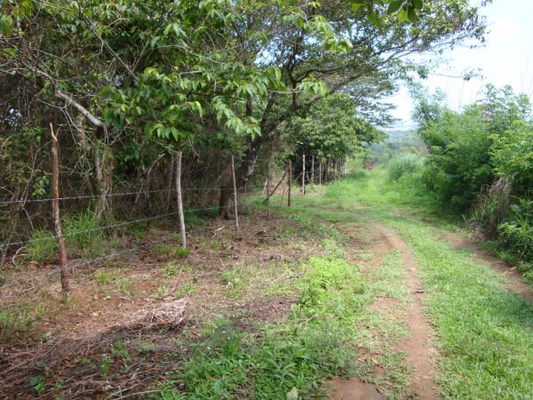 panama_brokers's tweet photo. Se vende terreno de 50,000 m2 en Altos de Pedregal. Buenas vistas a la ciudad, facilidades de transporte, a poca distancia del acceso al corredor norte https://t.co/e3xySJHOIn