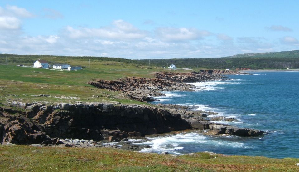 CartanTours's tweet photo. The rugged and majestic shores of Newfoundland in the summer are a once-in-a-lifetime experience. Cartan Tours offers a 12 day guided tour where you can walk where the Vikings first walked in North America. #cartantours #canadatrip https://t.co/bWI272jYuw https://t.co/Xgm0F2GeHo