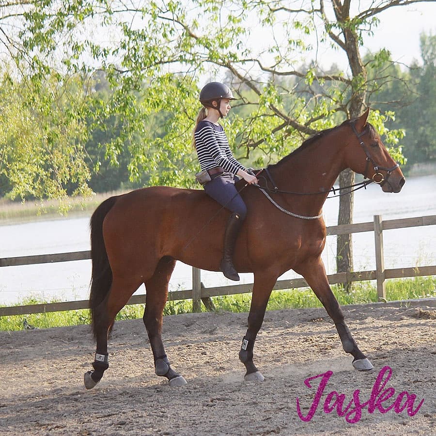 HorseDVM's tweet photo. Read about Jaska's immune mediated keratitis - https://t.co/lfGmdn8hRX https://t.co/cG7yHaNmlX