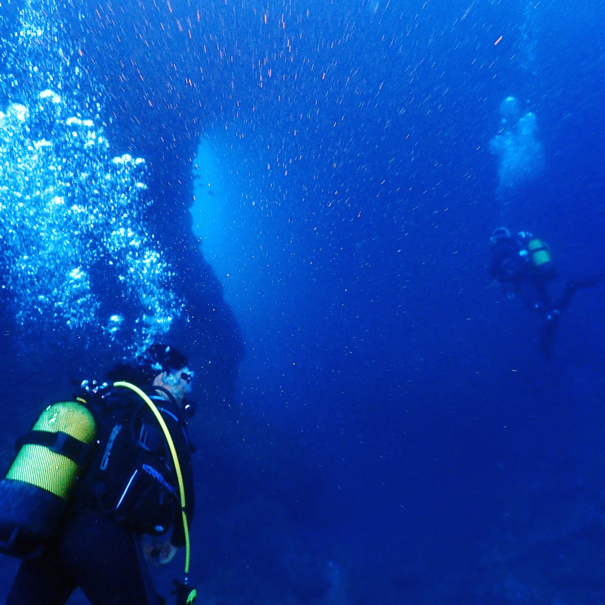 VanasDive's tweet photo. Nos encanta recordar los momentazos que hemos vivido esta temporada. Que grandes!! 💪😀
#buceo #Barcelona https://t.co/lPtMppCMRe