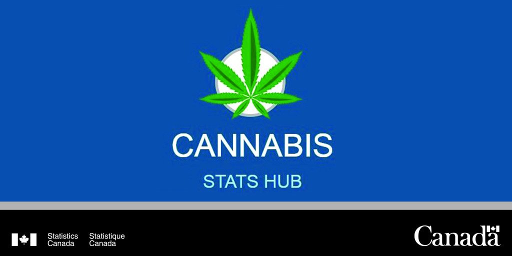 StatCan_eng's tweet image. Check out our new “Cannabis Stats Hub,” a one-stop shop for all #cannabis related data collected by StatCan! ow.ly/r1Uw30hZF53