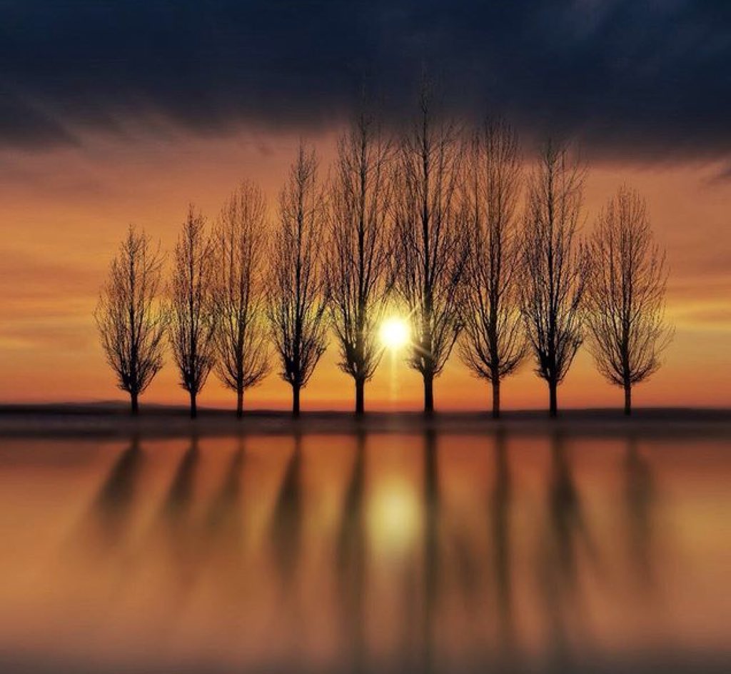 No amount of worldly darkness can extinguish the glow of a soul's inner light.

Wes Fesler