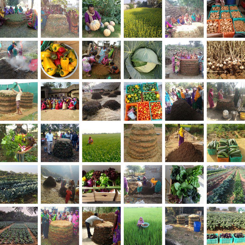 Training seminars for Shivansh Farming are running in 14 states in India, 60,000 farmers strong! All possible with self-made Shivansh Khaad. Instructions available at billionsinchange.in/en/solutions/a….
