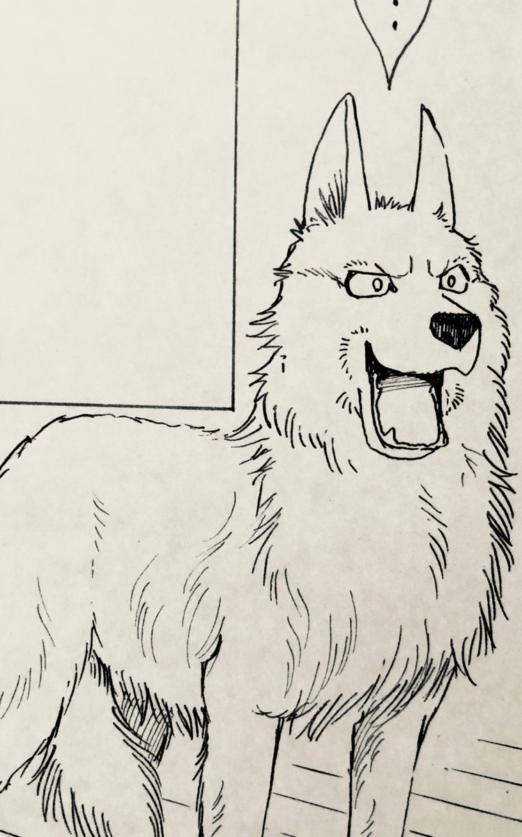 竜山さゆり A Twitter 自分で描きながら吹き出してしまったペリタス かっこいい犬を描きたいと思ってたのに だんだん三の線に崩れていく ごめん ペリタスw うちの犬が子ネコ拾いました Cheese 竜山さゆり A Twitter 自分で描きながら吹き出してしまったペリタス かっこいい犬を描きたいと思ってたのに だんだん三の線に崩れていく ごめん ペリタスw うちの犬が子ネコ拾いました Cheese