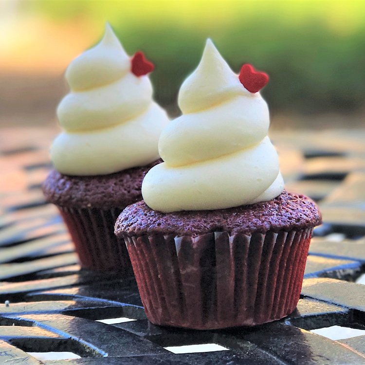 freshcupcakes's tweet photo. ALL THAT VELVETY GOODNESS :: It's hard to argue with a bestseller #SouthernRedVelvet #AtYourFingertips #AvailableDaily https://t.co/Lb14mb7TUe