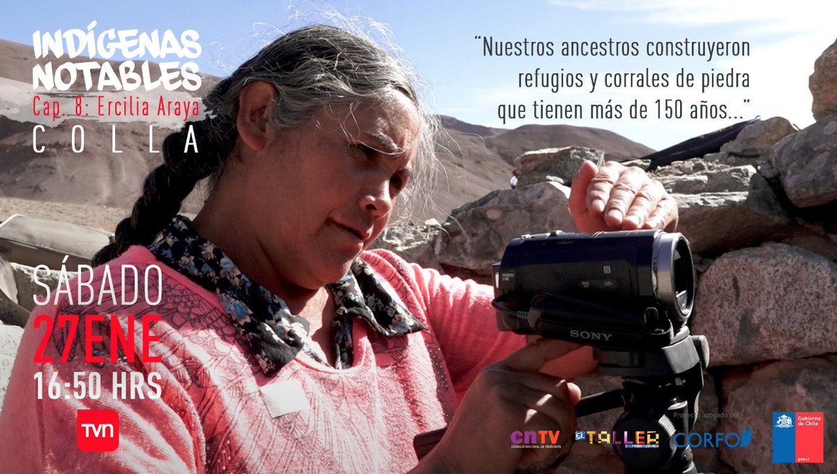 Indig_Notables's tweet photo. Arriba en la puna de Atacama, toda una cultura corre riesgo de desaparecer. Este sábado a las 16:50 hrs no te pierdas la historia de Ercilia Araya. https://t.co/aMNOFicjhg