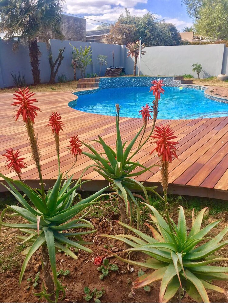 thejoint_inc's tweet photo. #tranquility Find your unique space to work and grow. 

The Joint. Inc has that space for you! New Modern Medical Suites Available from R5000 - R7000pm includes levies👌🏽

Contact us On 
083 414 2748 

#facility #multidisciplinary #healthcare #healthhub https://t.co/l46v7lFyOY