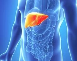 maxicourse's tweet photo. The liver is the body's second-largest organ!
https://t.co/JVeKM2h6n7 https://t.co/oaQH23yFxZ