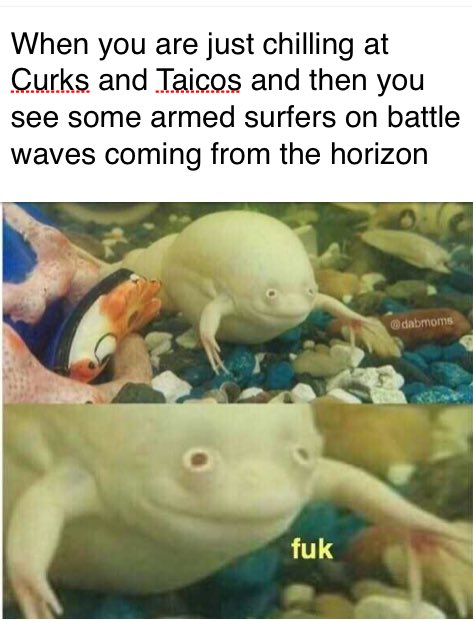 mpnationalroast's tweet image. 