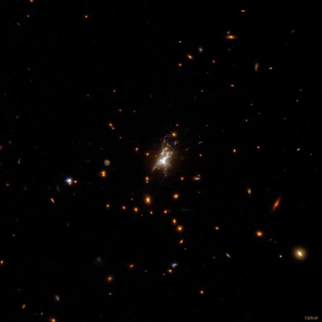 chandraxray's tweet photo. Right #now Chandra is focusing on the Phoenix Cluster! Distance: 5.7 billion lyr away. Mass of central black hole: 10 billion times that of our Sun. Stars in central galaxy: more than 3 trillion, over 700 born each year! #Today's Obs: 12h 13m — https://t.co/y3pbw8ET7R https://t.co/oOMl8Niz6e