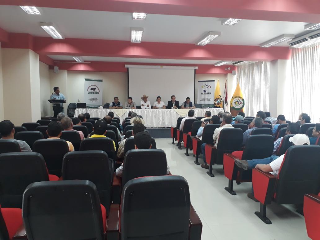 Agricultura_CZ4's tweet photo. [[AHORA]] Autoridades y técnicos del #MAG Manabí, participan de socialización con miembros de #FEDEGAN y #CORPOGAM, en temas de trazabilidad animal, enfermedades  y abigeato en ganado bovino.
#SomosMAG #MejoraTuHato https://t.co/OX86W2OQwj