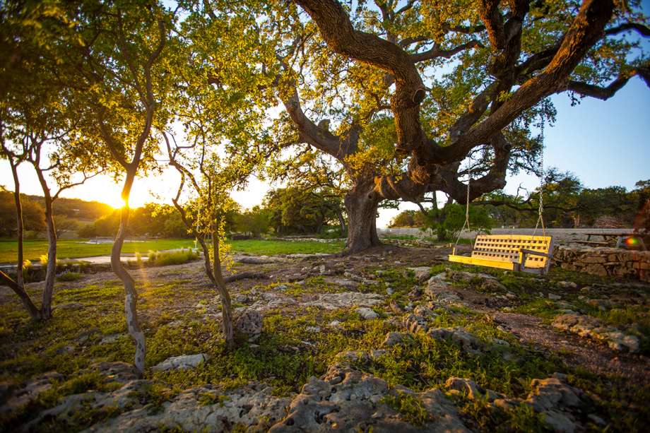 SouthStarLand's tweet photo. Retiring in Texas remains a trend! #Austin and #Fredericksburg have been named to @Forbes’ list of 25 Best Places to Retire and #NewBraunfels named as a top spot for retirees! https://t.co/xYLBUjp2yS https://t.co/lGVOG0Ya60