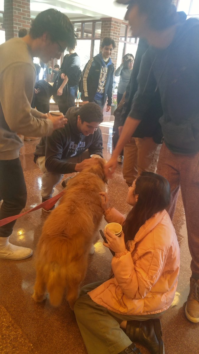 GreeleyLife's tweet photo. Sharing a moment of canine connection #TherapyDogThursday #MoreFunLessStress Thanks to our PTA volunteers and the Mental Wellness Club for a great week of events! https://t.co/G77KM7jZON