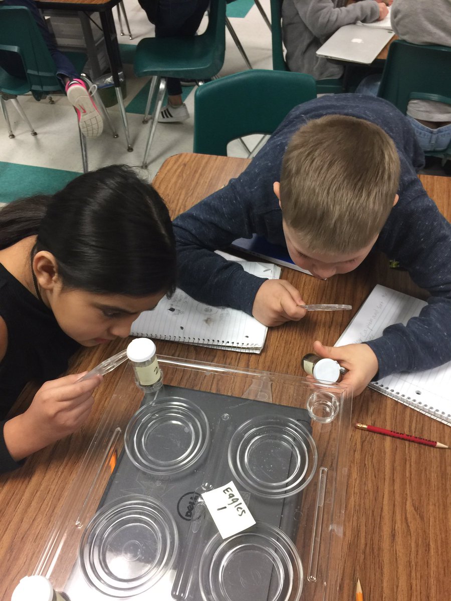 KljohnsonKeri's tweet photo. #ScienceROCKSπ#SoilComposition #Weatheringπ¦#SmithLeopards https://t.co/StBxw7ds5d
