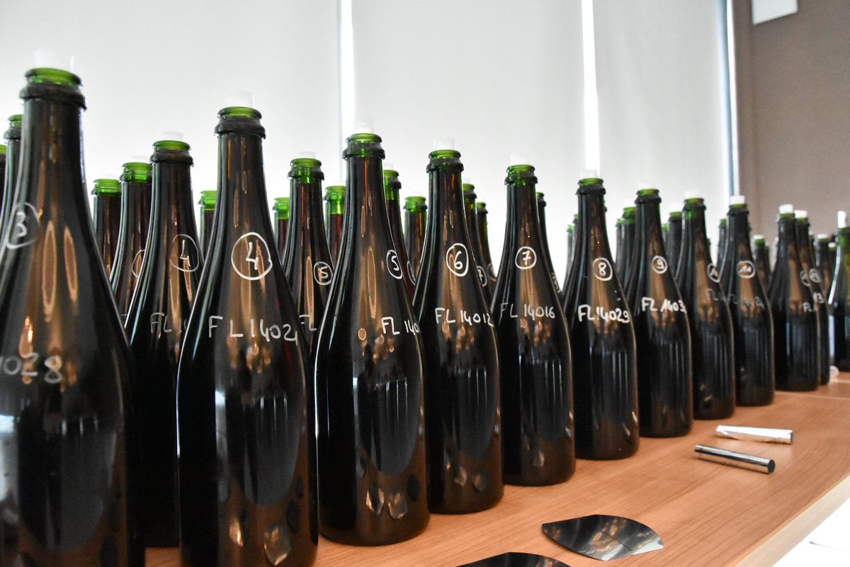 tevchampagne's tweet photo. Club des vinificateurs de rouge :
Découverte et échanges autour des vins rouges de la vendange 2017. #cvcnf #champagne #assemblage https://t.co/WqrkztOG9p