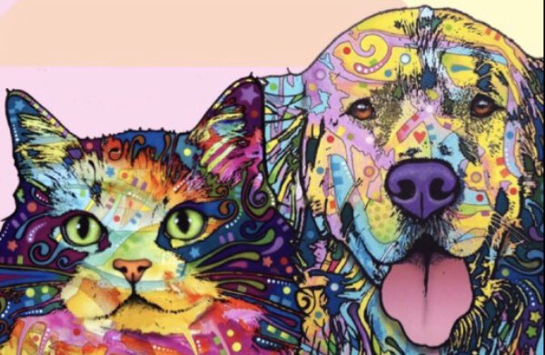 HealthPalmetto's tweet photo. “Until one has loved an animal part of one’s soul remains unawakened.” 
-Anatole France #awaken #animals https://t.co/LOnPyYIglT