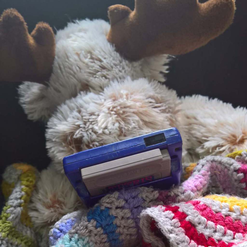 retrotech on Twitter "Moosey curled up in a blanket with the Gameboy