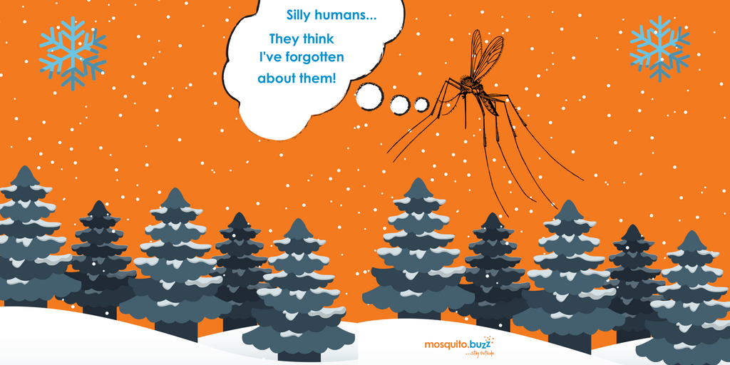 themosquitobuzz's tweet photo. We go live now to a mosquito in winter...😑 #alwaysscheming https://t.co/12av8Kb01x