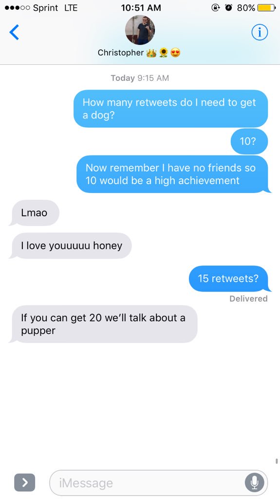EmHagenbuch's tweet photo. IF YOU HAVE A SOUL YOU'LL RT THIS 🙏🏻🚨 IF NOT FOR ME, DO IT FOR THE GOOD DOGGOS IN SHELTERS THAT NEED A HOME 🚨🐶 https://t.co/3bWj8cZroD