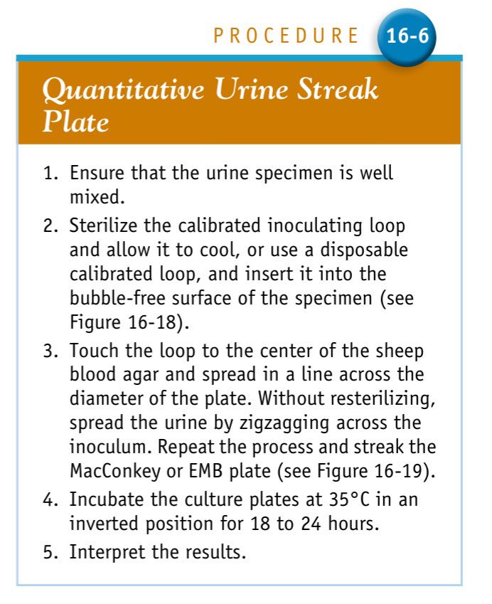 AlAseel_92's tweet photo. Procedure for quantitative urine culture ✨🔬
#أخصائي_مختبر #مختبرات_طبية #lab_tech #med_lab https://t.co/pzEQnu3qBX