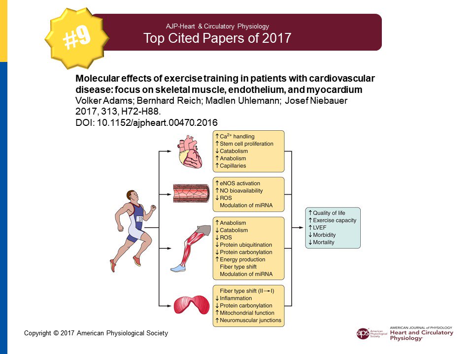 #9 of the Top 10 Cited Papers of 2017 is Adams V et al, Molecular effects of #exercise training in patients with cardiovascular disease: focus on skeletal muscle, endothelium, and myocardium ow.ly/TZfk30hYv96 #shearstress #atherosclerosis #HeartFailure #topcited