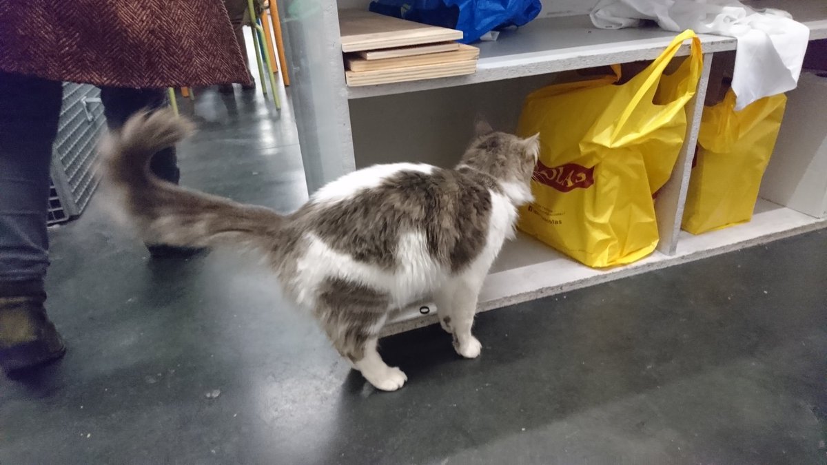 LeBlockFest's tweet image. Même les chats s'y mettent #blockchain à @42born2code 😂
Norminet veut lancer l'apero 🍷🍻🍾