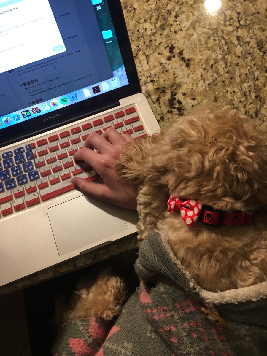 Brytannis's tweet image. When you’re trying to tweet but the puppy wants attention #MSWProblems