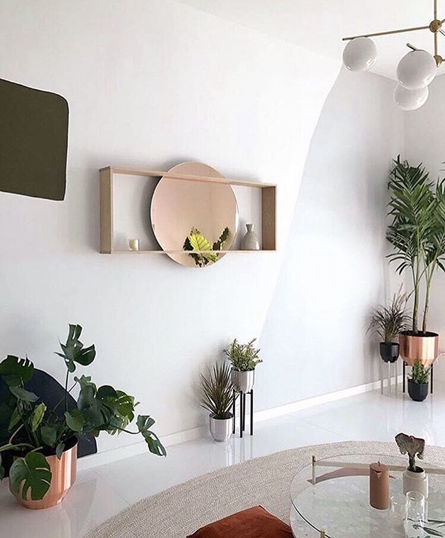 Plant sanctuary 🌿🌵🌱🍃 via @floraandform ift.tt/2nz91BP
