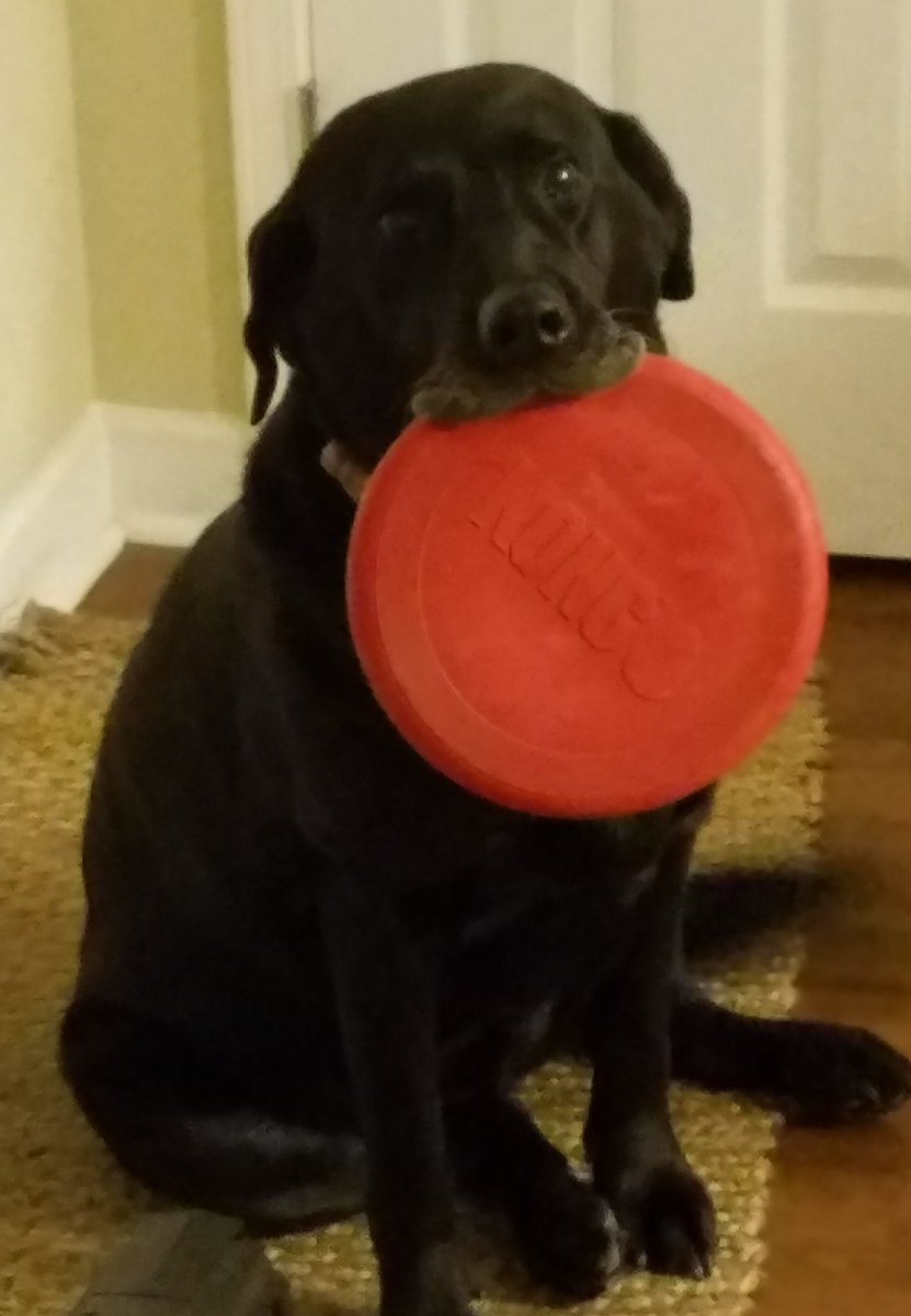 targo0419's tweet photo. Come home from work and am met with this....... https://t.co/cbXItSy6Es