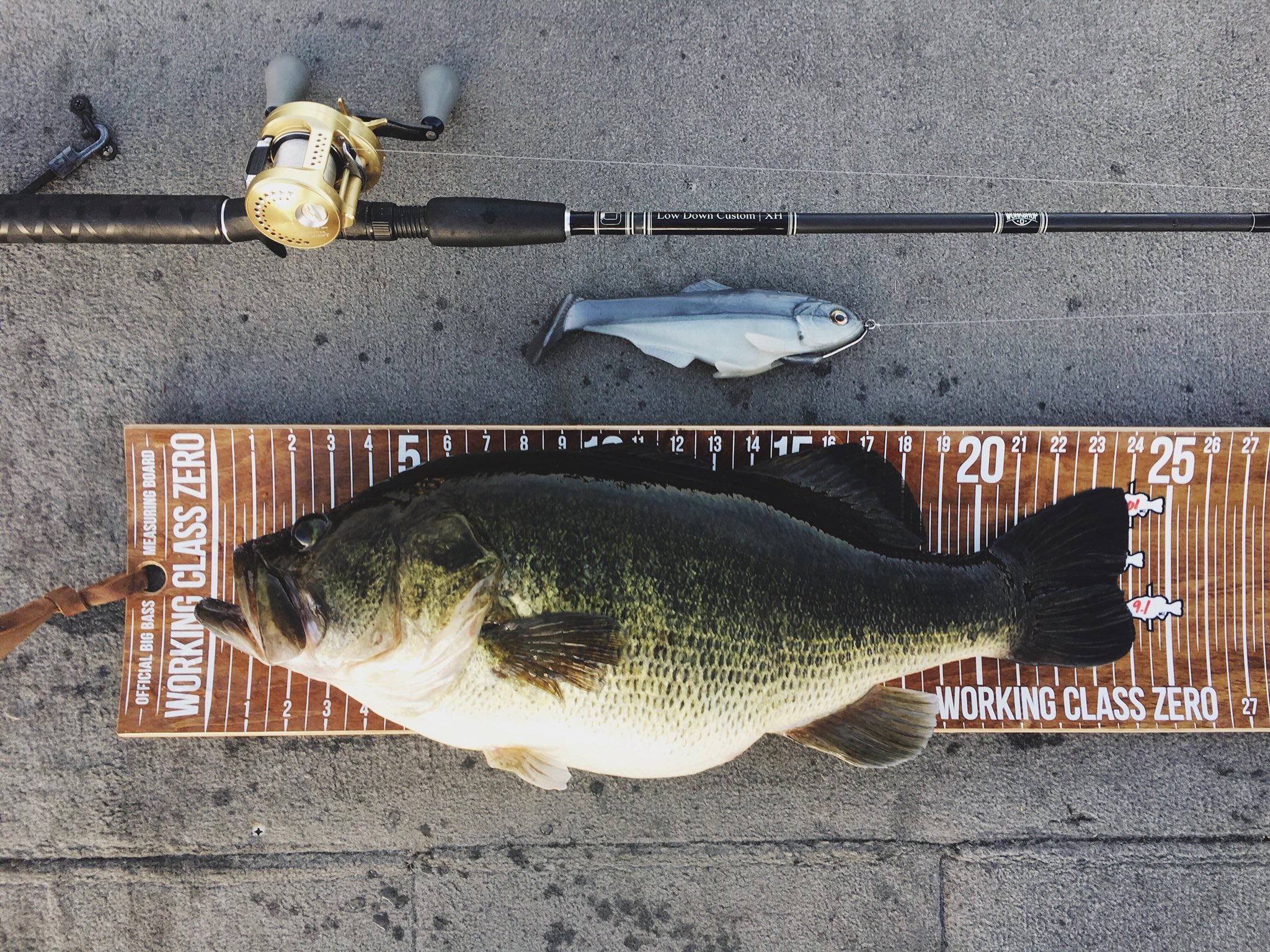 Low Down Customs on X: Last cast. First bass. (@gilbertmike_WCZ