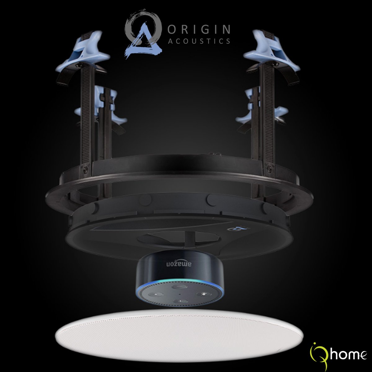 IQhome tweet media