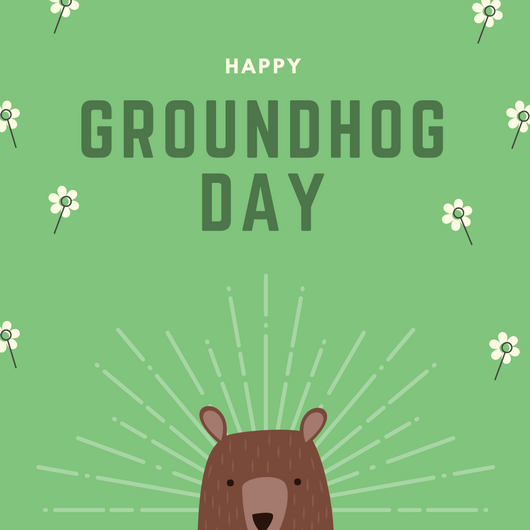 DamagesServices's tweet photo. Will Phil see his shadow tomorrow and leave us with 6 more weeks of #winter? #GroundhogDay2018 https://t.co/gR5Jtf5pA2