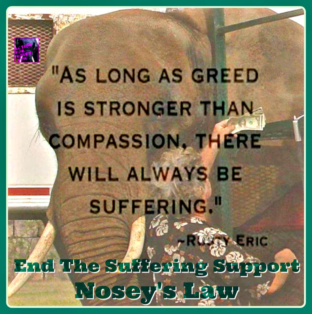 ActforNosey's tweet photo. PLEASE SIGN &amp; SHARE #NoseysLaw
New Jersey: Ban The Use Of Exotic #Animals In The Circus!! 
https://t.co/uGCdzrWYt6 https://t.co/nRwEee9Onu