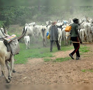 OkunCommunity's tweet photo. #Okun #Yoruba speak through Okun Professionals Network on #Cattle Colony in #Kogi State. https://t.co/h0sjgFAba2 https://t.co/zJwjrj4r0l