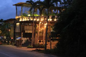 TulumNow's tweet image. Tulum Beach Road Travel and Access tulumnow.com/tulum-beach-ro…