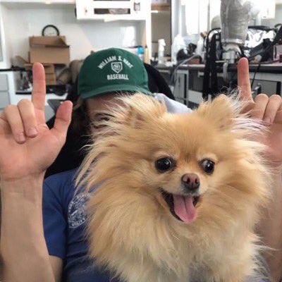 CURTiSGTFO's tweet photo. So I learned today that Spade's dogs initials are also CJ and now we're best friends just so everybody knows https://t.co/WQs27qI7hF