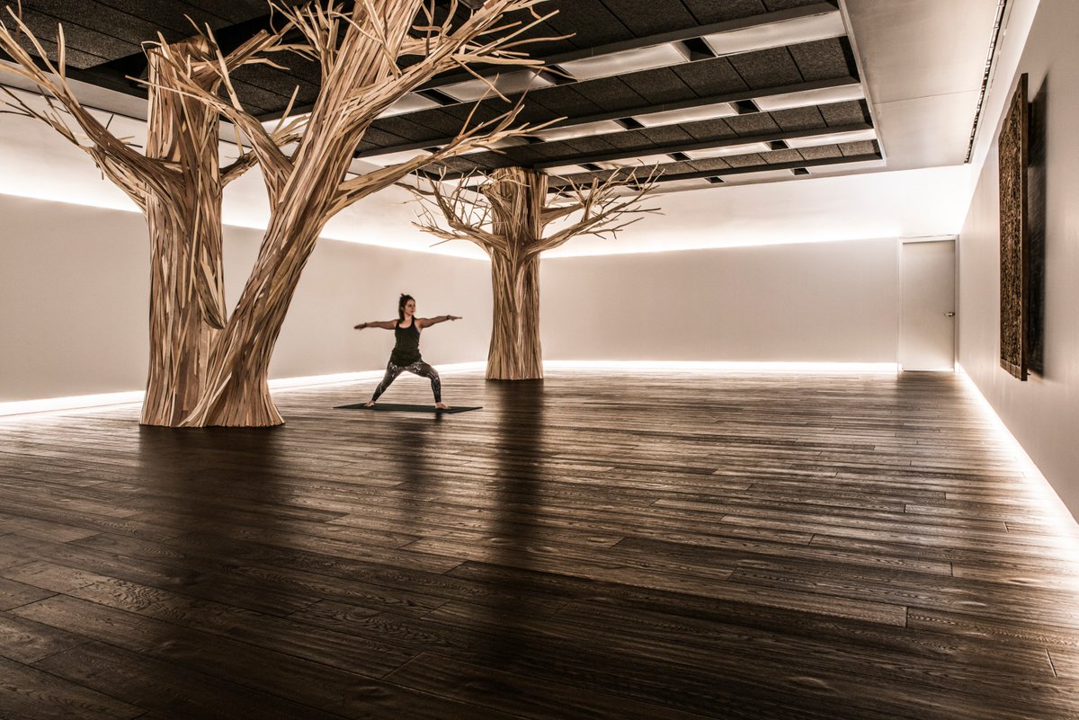 DMACARCH's tweet photo. Magical moments at @Midtown_Chi . 

The Samadhi Tree grounds the space in the central yoga room at The Midtown Athletic Club of Chicago. 
Photo by @anthonytahlier https://t.co/7nt4B70uqW
