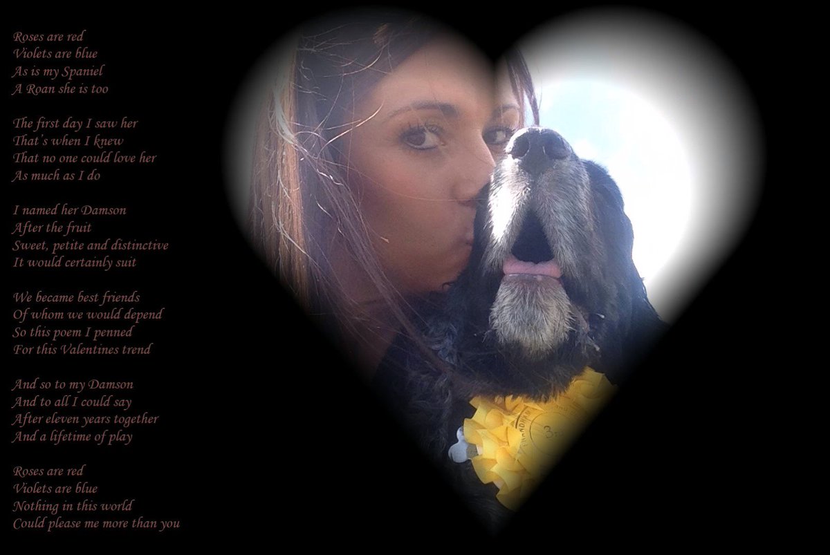 DamsonDog's tweet photo. #VIPRhyme Valentines Rhyme https://t.co/pdQPOTUjZl